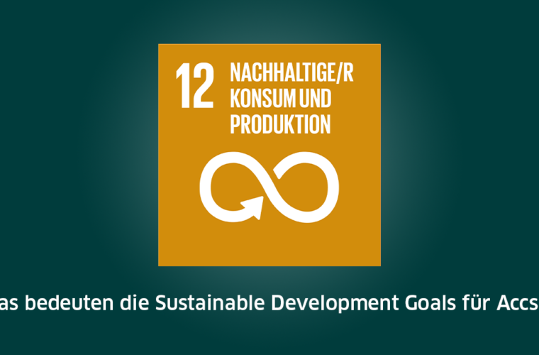 SDG 12