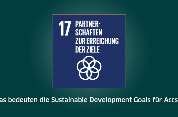SDG 17