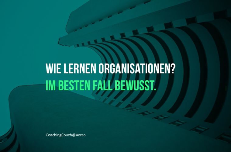 Lernende Organisation
