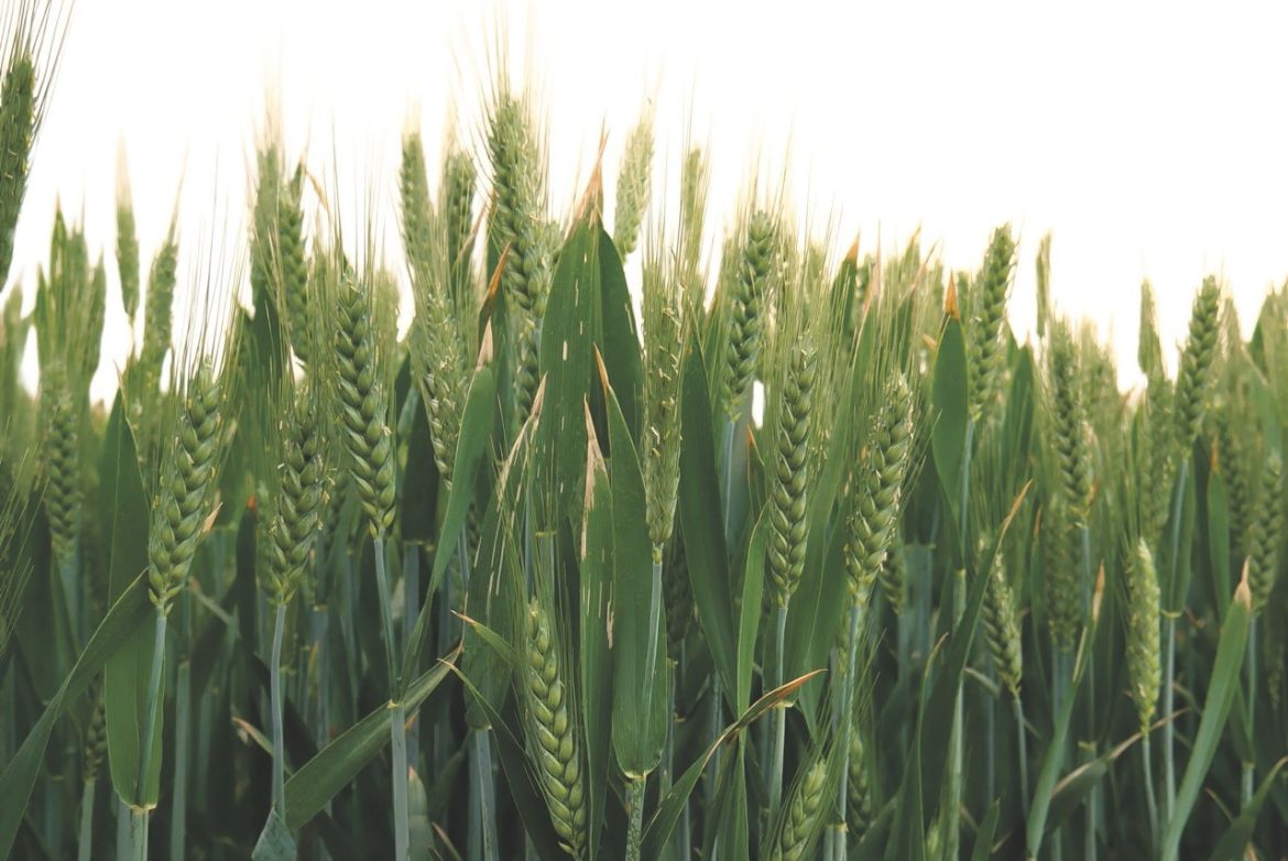 2025 Fortschrittsbericht Cover Blogpost