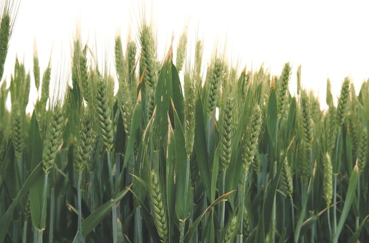 2025 Fortschrittsbericht Cover Blogpost