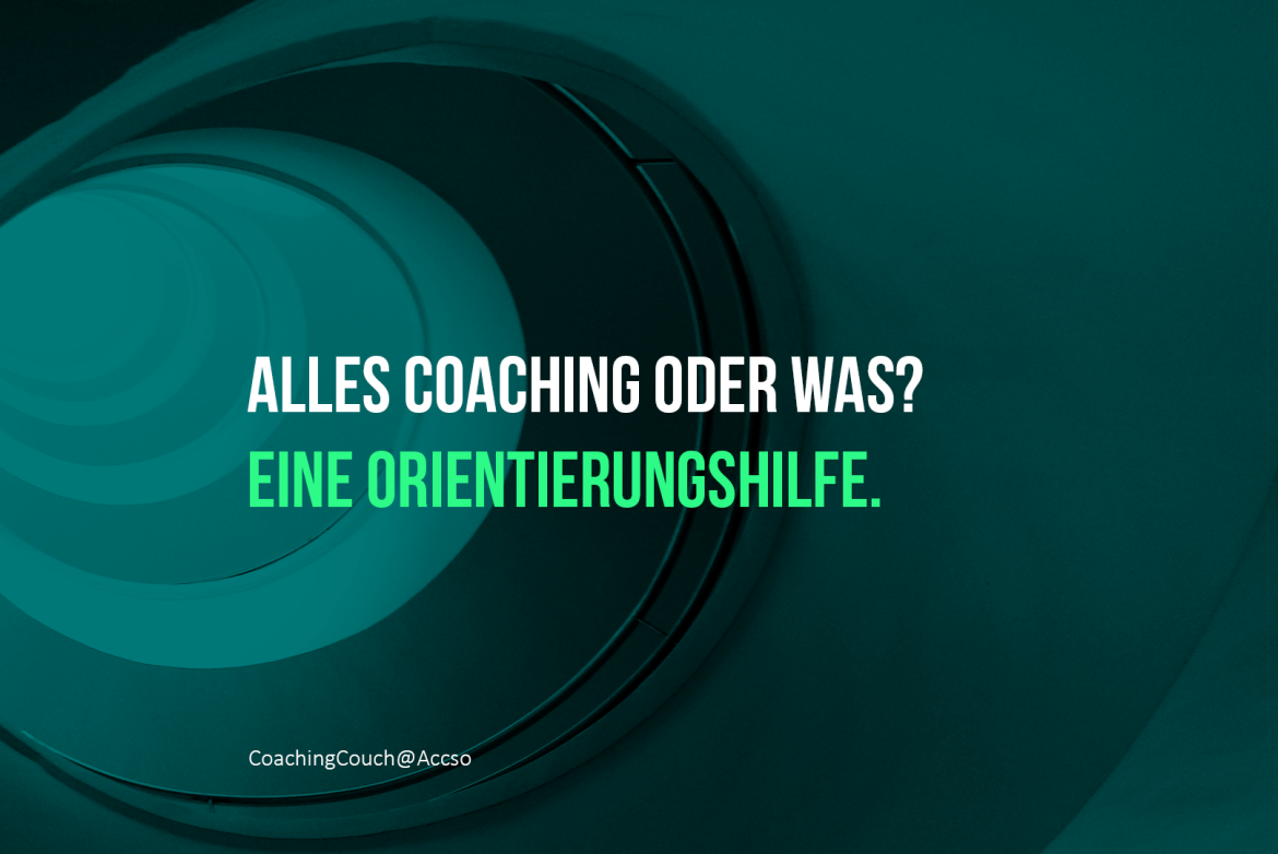 Licht im Dickicht Coaching Einordnung
