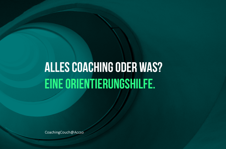 Licht im Dickicht Coaching Einordnung