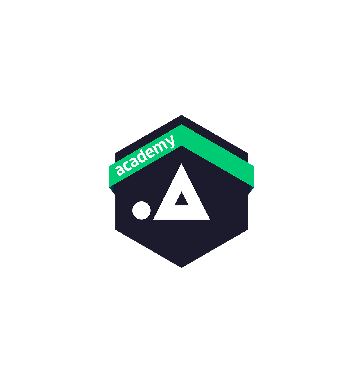 Academy a logo website 2